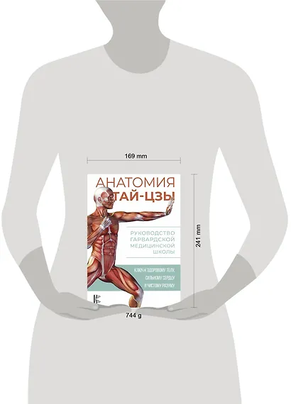 Анатомия тай-цзы. Руководство Гарвардской медицинской школы - фото 4