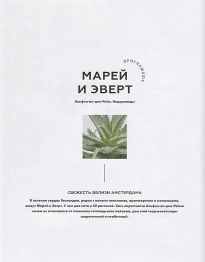 Urban Jungle. Как создать уютный интерьер с помощью растений - фото 4