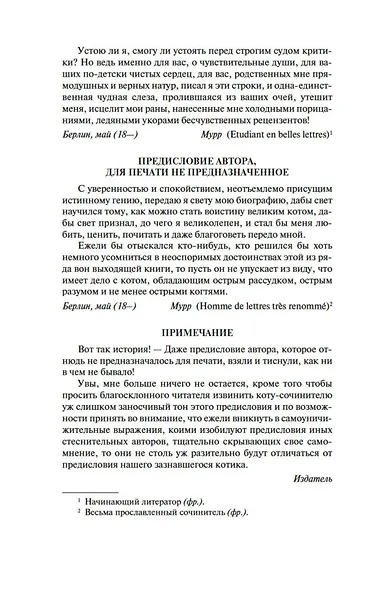 Житейские воззрения кота Мурра - фото 11