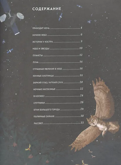 Посмотри на небо! Энциклопедия дневного и ночного неба / Ночного и дневного неба - фото 4