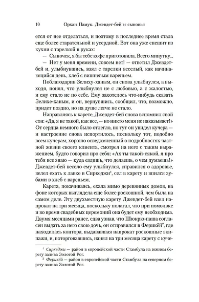 Джевдет-бей и сыновья - фото 13