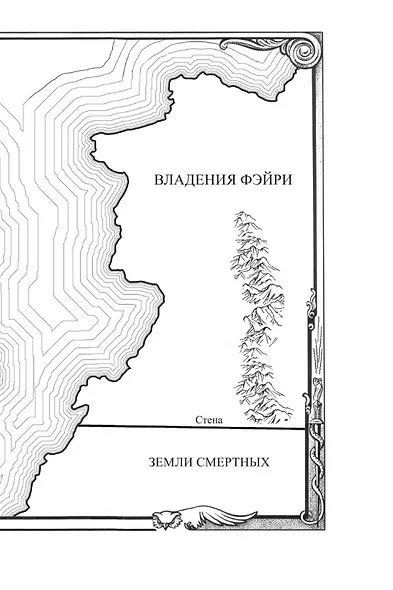 Королевство гнева и тумана - фото 13
