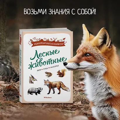 Лесные животные - фото 4