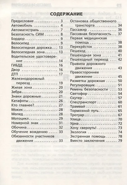 Дорожная грамота. Начальная школа - фото 2