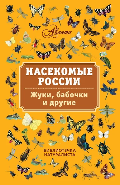 Насекомые России. Жуки, бабочки и другие - фото 1