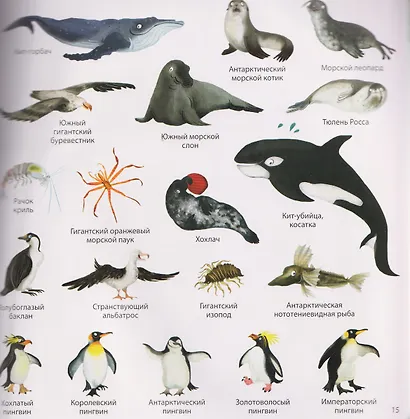 1000 картинок. Животные мира - фото 3