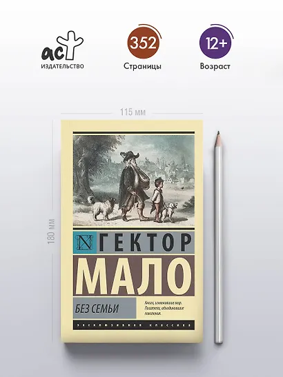 Без семьи - фото 4
