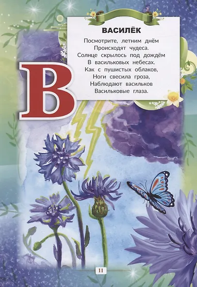 Азбука цветов - фото 6