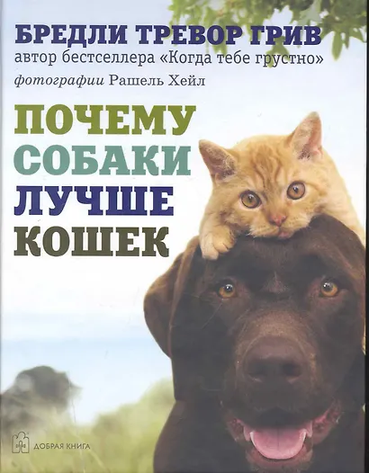 Почему собаки лучше кошек - фото 1