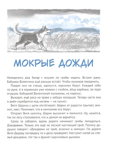 Дедушкины дождики. Маленькая повесть в рассказах про мальчика Витю, его дедушку и про деревню - фото 4