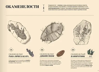 Утраченные пейзажи Земли - фото 4