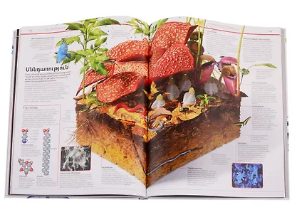 Энциклопедия знаний. Наука (на армянском языке) - фото 4