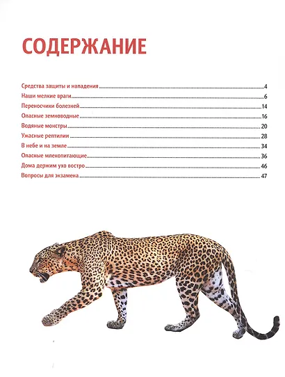 Опасные животные. Энциклопедия с развивающими заданиями - фото 2