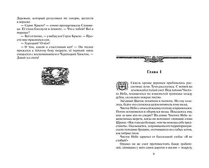 Звёздная тропа - фото 4