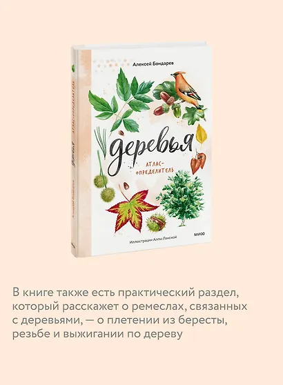 Деревья. Атлас-определитель - фото 6
