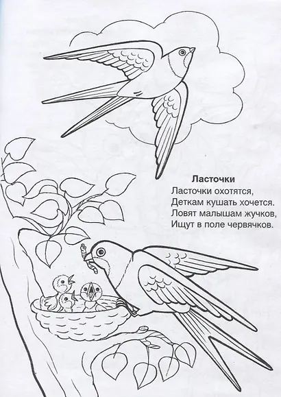 Кто летает в небе - фото 2