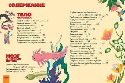 Человек. Исследуем тело и мозг человека - фото 4