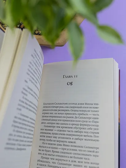 Парадизо - фото 12