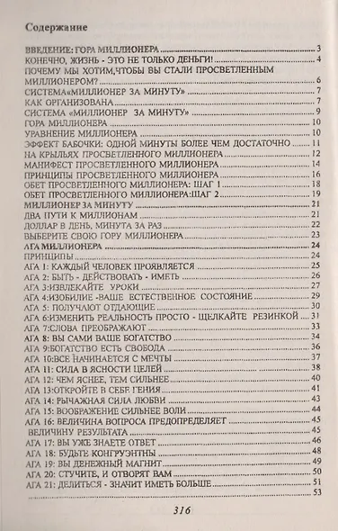Миллионер за минуту Просветленный путь к богатству (м) Хансен - фото 2