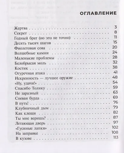 Метеорит Ася - фото 9