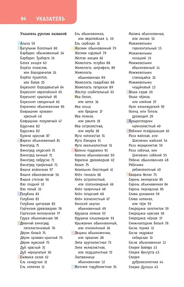 Деревья и кустарники России. Определитель - фото 8