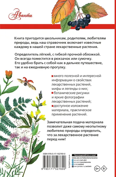 Лекарственные растения России - фото 2