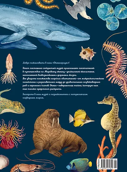 Океанариум - фото 2