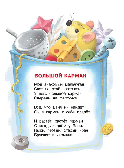 Большой карман - фото 4