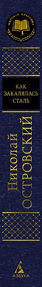 Как закалялась сталь - фото 15