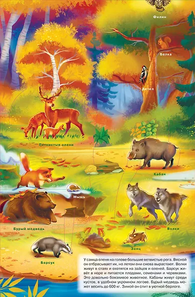 Животные - фото 4