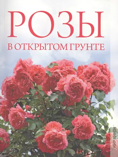 Розы в открытом грунте - фото 1