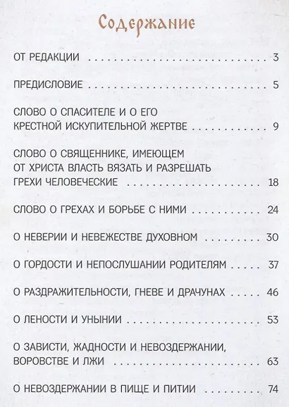 Моя первая исповедь (илл. Кашиной) Владимиров - фото 2