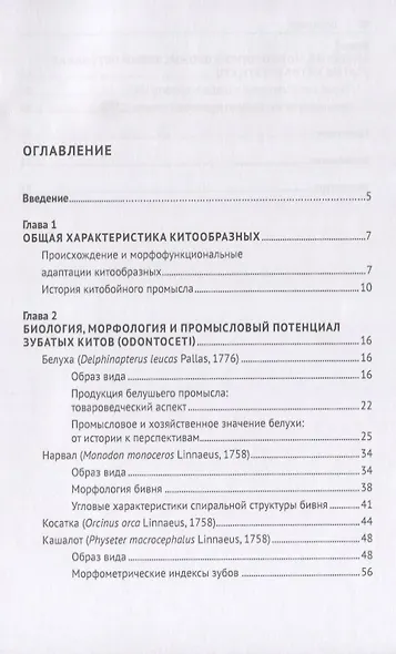 Биология и промысловый потенциал китообразных. Учебное пособие - фото 2