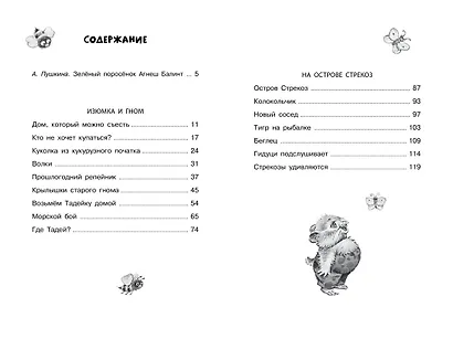 Изюмка и гном - фото 6