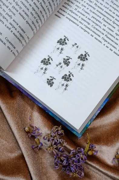 Надлежащий подход - фото 11