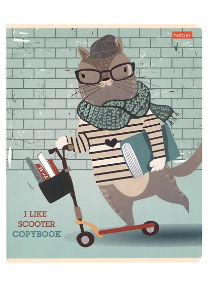 Тетрадь в клетку Hatber, I Like Sсooter, 48 листов, в ассортименте - фото 2