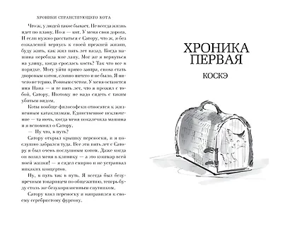 Хроники странствующего кота - фото 12