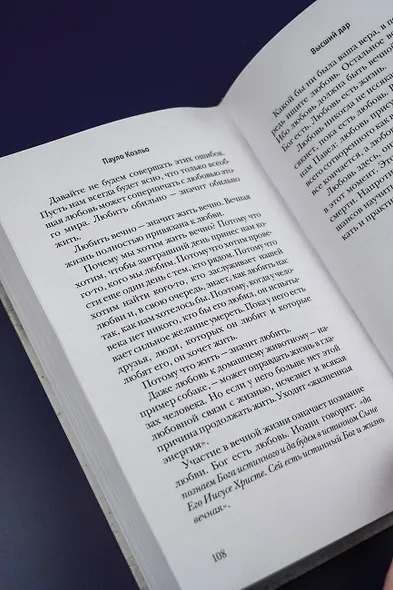 Высший дар - фото 11