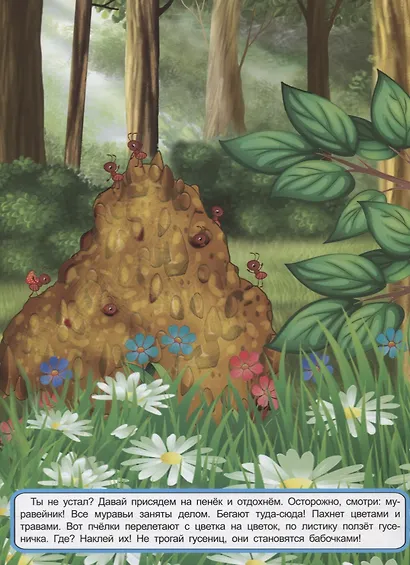 Мои лесные прогулки. Книжка с многоразовыми наклейками - фото 5