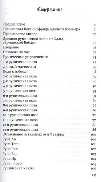 Священная власть рун - фото 2