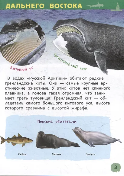 Энциклопедия для детского сада. Чудеса родной природы - фото 4