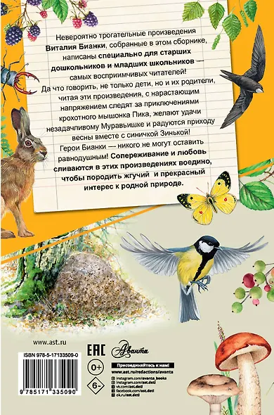 Лесные домишки - фото 2