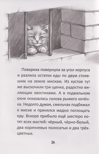 Я тебя не брошу. Полосатое счастье - фото 3