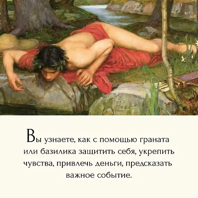 Магия трав и волшебный бестиарий. Сборный комплект из 2-х книг с шоппером - фото 12