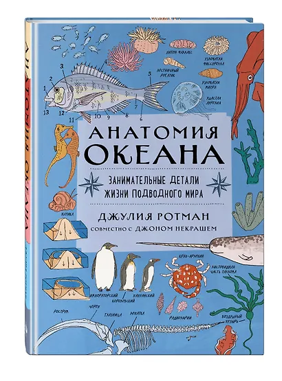 Анатомия океана. Занимательные детали жизни подводного мира - фото 3