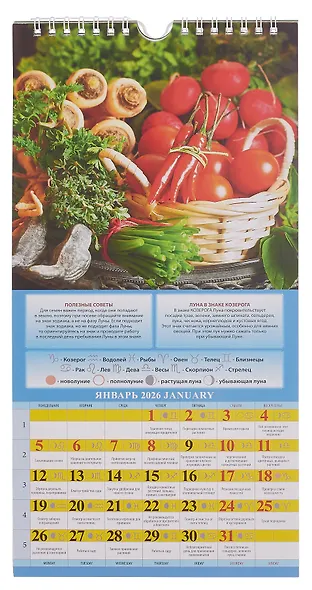 Календарь 2026г 165*335 "Садово-огородный лунный календарь" настенный, на спирали - фото 3