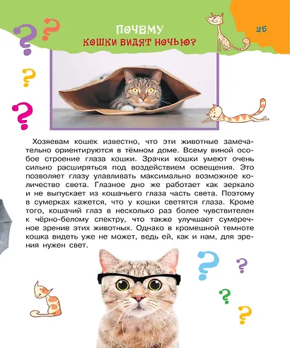 Большая книга почему - фото 3