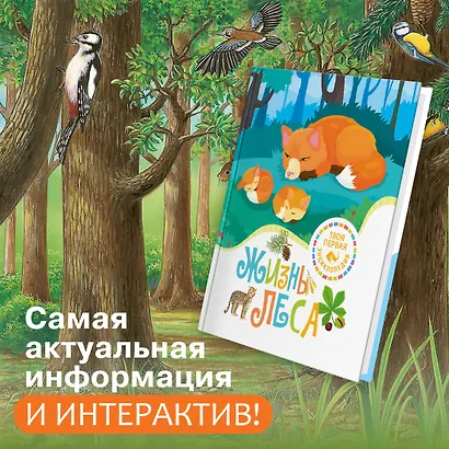 Жизнь леса - фото 3