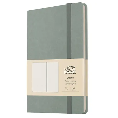 Книга для записей в клетку "Joy Book. Мятное мороженое", А5, 96 листов - фото 1