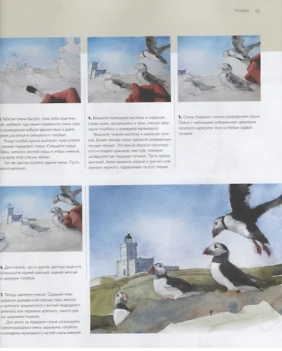 50 акварельных этюдов. Краткий курс живописи от простого к сложному - фото 9